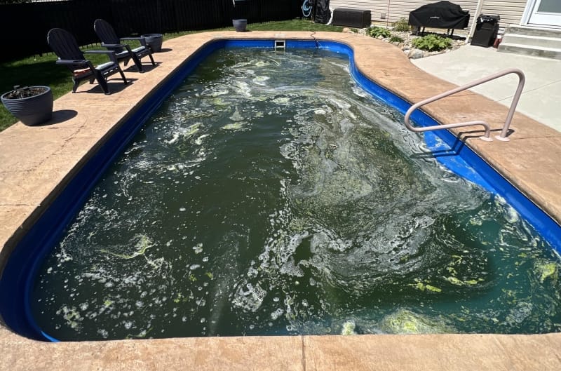 BAD Algae for many pool openings